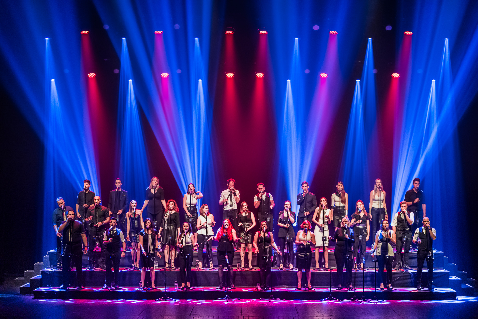 Perpetuum Jazzile | Trieste